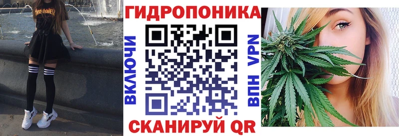 гидра ссылка  Каневская  Каннабис гибрид 